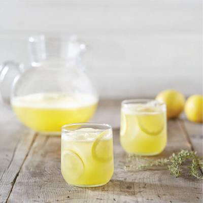 Zitronen-Limonade - Mit dem Vitamix erfrischende Getränke zaubern